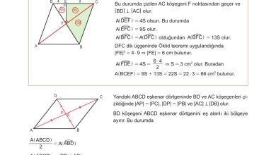 10. Sınıf Meb Yayınları Matematik Ders Kitabı Sayfa 286 Cevapları