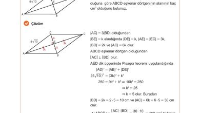 10. Sınıf Meb Yayınları Matematik Ders Kitabı Sayfa 287 Cevapları