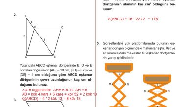 10. Sınıf Meb Yayınları Matematik Ders Kitabı Sayfa 288 Cevapları