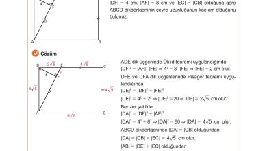 10. Sınıf Meb Yayınları Matematik Ders Kitabı Sayfa 289 Cevapları