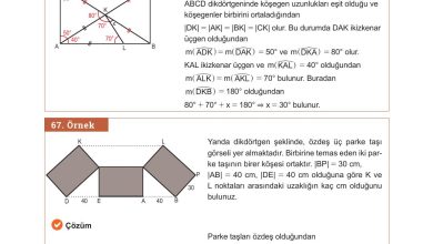 10. Sınıf Meb Yayınları Matematik Ders Kitabı Sayfa 290 Cevapları