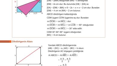 10. Sınıf Meb Yayınları Matematik Ders Kitabı Sayfa 291 Cevapları