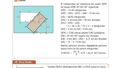 10. Sınıf Meb Yayınları Matematik Ders Kitabı Sayfa 293 Cevapları