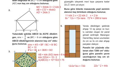 10. Sınıf Meb Yayınları Matematik Ders Kitabı Sayfa 294 Cevapları