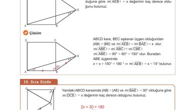 10. Sınıf Meb Yayınları Matematik Ders Kitabı Sayfa 295 Cevapları