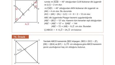 10. Sınıf Meb Yayınları Matematik Ders Kitabı Sayfa 296 Cevapları