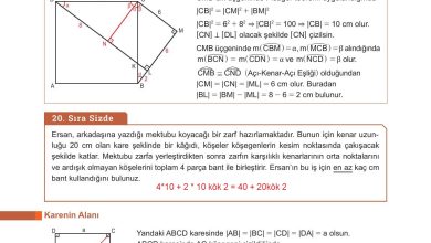 10. Sınıf Meb Yayınları Matematik Ders Kitabı Sayfa 297 Cevapları