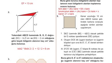 10. Sınıf Meb Yayınları Matematik Ders Kitabı Sayfa 300 Cevapları