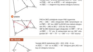 10. Sınıf Meb Yayınları Matematik Ders Kitabı Sayfa 301 Cevapları