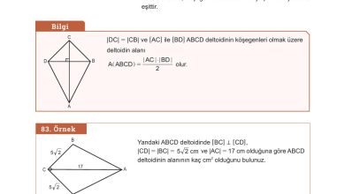 10. Sınıf Meb Yayınları Matematik Ders Kitabı Sayfa 303 Cevapları