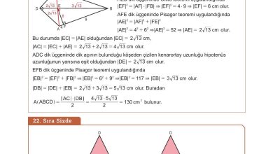 10. Sınıf Meb Yayınları Matematik Ders Kitabı Sayfa 304 Cevapları