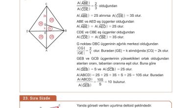 10. Sınıf Meb Yayınları Matematik Ders Kitabı Sayfa 305 Cevapları