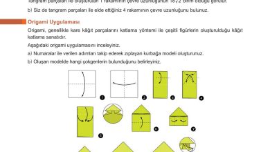 10. Sınıf Meb Yayınları Matematik Ders Kitabı Sayfa 306 Cevapları