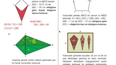 10. Sınıf Meb Yayınları Matematik Ders Kitabı Sayfa 307 Cevapları