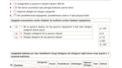 10. Sınıf Meb Yayınları Matematik Ders Kitabı Sayfa 308 Cevapları