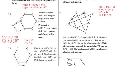 10. Sınıf Meb Yayınları Matematik Ders Kitabı Sayfa 309 Cevapları