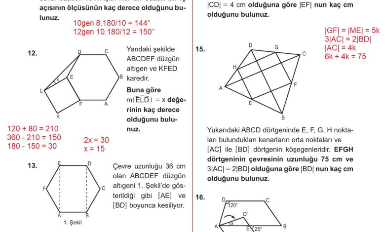 10. Sınıf Meb Yayınları Matematik Ders Kitabı Sayfa 309 Cevapları