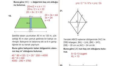 10. Sınıf Meb Yayınları Matematik Ders Kitabı Sayfa 310 Cevapları