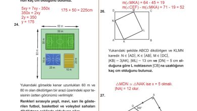 10. Sınıf Meb Yayınları Matematik Ders Kitabı Sayfa 311 Cevapları