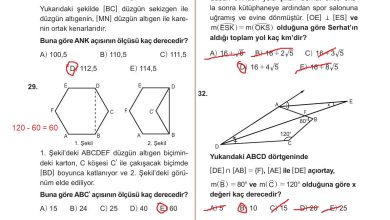 10. Sınıf Meb Yayınları Matematik Ders Kitabı Sayfa 312 Cevapları