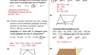 10. Sınıf Meb Yayınları Matematik Ders Kitabı Sayfa 313 Cevapları