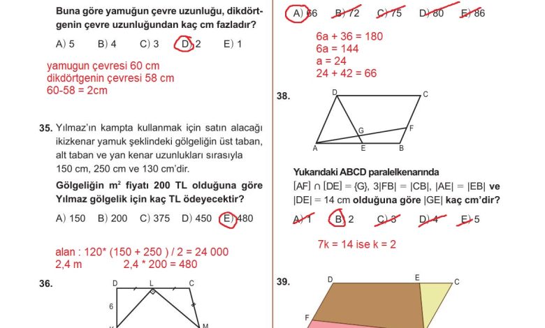 10. Sınıf Meb Yayınları Matematik Ders Kitabı Sayfa 313 Cevapları