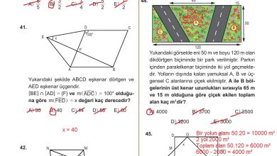 10. Sınıf Meb Yayınları Matematik Ders Kitabı Sayfa 314 Cevapları