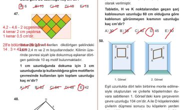 10. Sınıf Meb Yayınları Matematik Ders Kitabı Sayfa 315 Cevapları