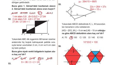 10. Sınıf Meb Yayınları Matematik Ders Kitabı Sayfa 316 Cevapları