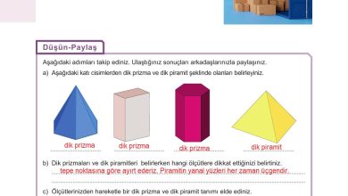 10. Sınıf Meb Yayınları Matematik Ders Kitabı Sayfa 319 Cevapları