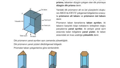 10. Sınıf Meb Yayınları Matematik Ders Kitabı Sayfa 320 Cevapları