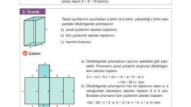 10. Sınıf Meb Yayınları Matematik Ders Kitabı Sayfa 321 Cevapları