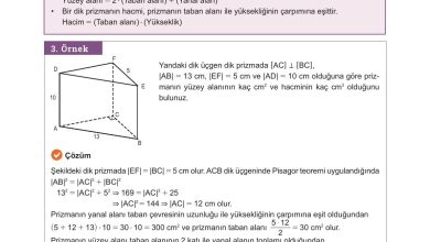 10. Sınıf Meb Yayınları Matematik Ders Kitabı Sayfa 322 Cevapları