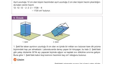 10. Sınıf Meb Yayınları Matematik Ders Kitabı Sayfa 325 Cevapları