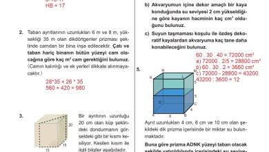 10. Sınıf Meb Yayınları Matematik Ders Kitabı Sayfa 328 Cevapları