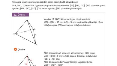 10. Sınıf Meb Yayınları Matematik Ders Kitabı Sayfa 329 Cevapları