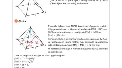 10. Sınıf Meb Yayınları Matematik Ders Kitabı Sayfa 330 Cevapları