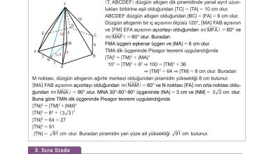 10. Sınıf Meb Yayınları Matematik Ders Kitabı Sayfa 331 Cevapları