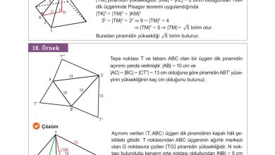 10. Sınıf Meb Yayınları Matematik Ders Kitabı Sayfa 334 Cevapları