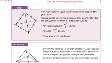 10. Sınıf Meb Yayınları Matematik Ders Kitabı Sayfa 335 Cevapları