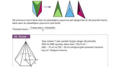 10. Sınıf Meb Yayınları Matematik Ders Kitabı Sayfa 336 Cevapları