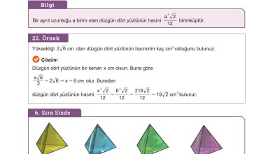 10. Sınıf Meb Yayınları Matematik Ders Kitabı Sayfa 337 Cevapları