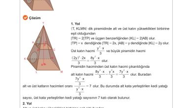 10. Sınıf Meb Yayınları Matematik Ders Kitabı Sayfa 338 Cevapları