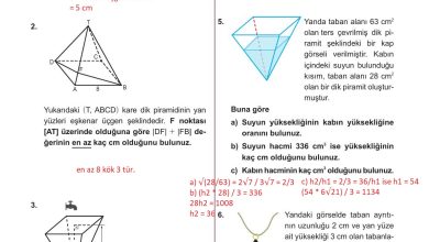 10. Sınıf Meb Yayınları Matematik Ders Kitabı Sayfa 339 Cevapları