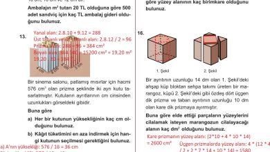 10. Sınıf Meb Yayınları Matematik Ders Kitabı Sayfa 341 Cevapları