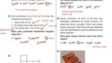 10. Sınıf Meb Yayınları Matematik Ders Kitabı Sayfa 343 Cevapları