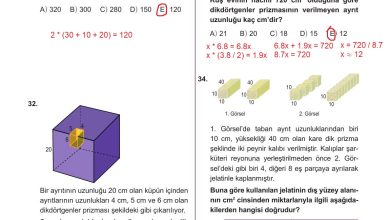 10. Sınıf Meb Yayınları Matematik Ders Kitabı Sayfa 344 Cevapları