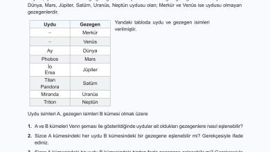 10. Sınıf Meb Yayınları Matematik Ders Kitabı Sayfa 80 Cevapları