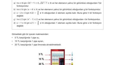 10. Sınıf Meb Yayınları Matematik Ders Kitabı Sayfa 84 Cevapları