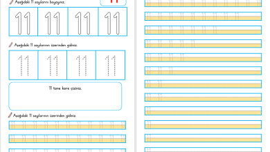 11 Sayısı Öğretimi (Yeni Müfredata Uygun)
